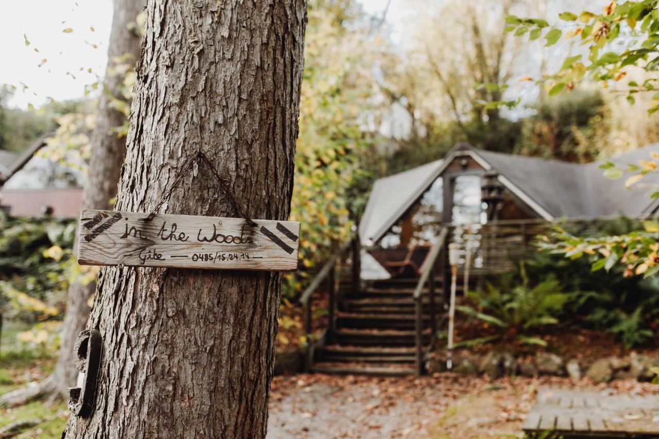 Chalet Scandinave Avec Sauna Ir - In The Woods Gesves Buitenkant foto