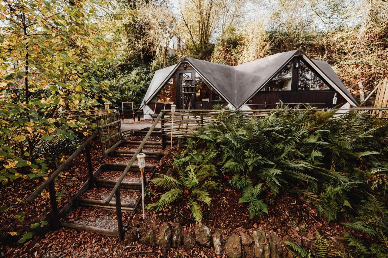 Chalet Scandinave Avec Sauna Ir - In The Woods Gesves Buitenkant foto